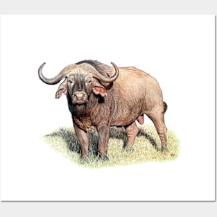 Buffalo Painting Posters and Art